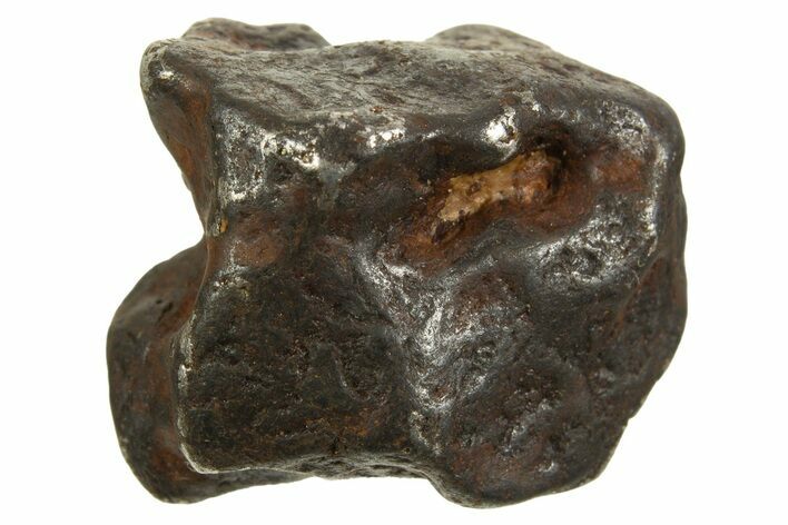 Canyon Diablo Iron Meteorite ( g) - Arizona #335968